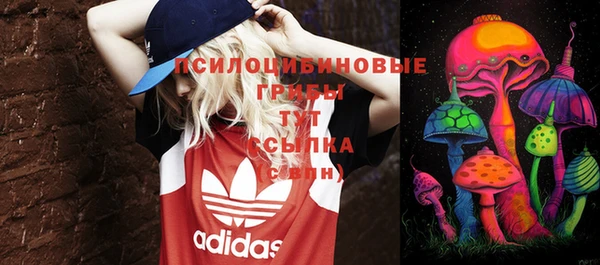 таблы Горнозаводск